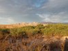 IMG_8682