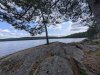 PXL_20250808_114229825.MP_