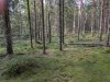 PXL_20250808_153932604