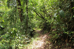 Cairns