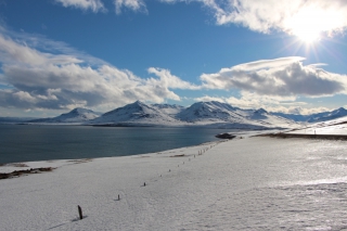 dalvik