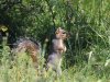 IMG_8220
